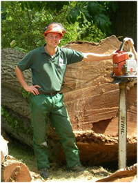 Tree Surgeon South Wales