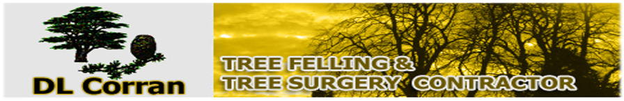 Tree Surgeon South Wales